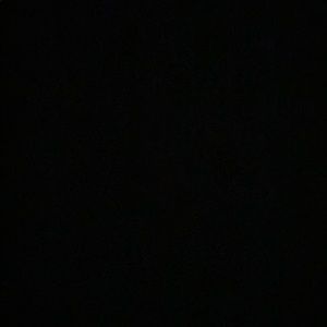 Meet your Posher, Ella